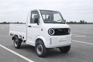 E---Pickup-Electric_3-kw-25-km/h-oder-45-km/h