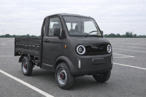 E---Pickup-Electric_3-kw-25-km/h-oder-40-km/h