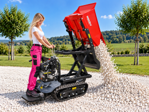 Raupendumper_Hecht-2960-500-kg